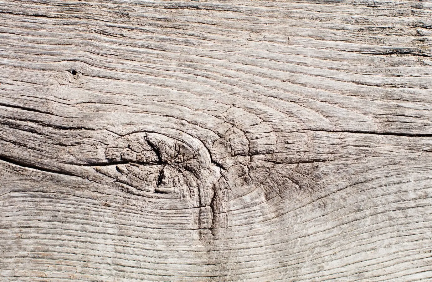 warm wooden texture